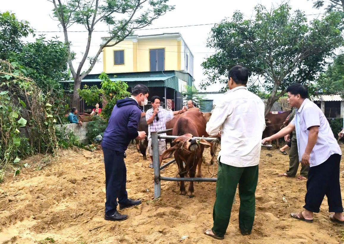 Chủ động phòng, chống dịch bệnh, bảo vệ an toàn đàn vật nuôi và ổn định sản xuất chăn nuôi