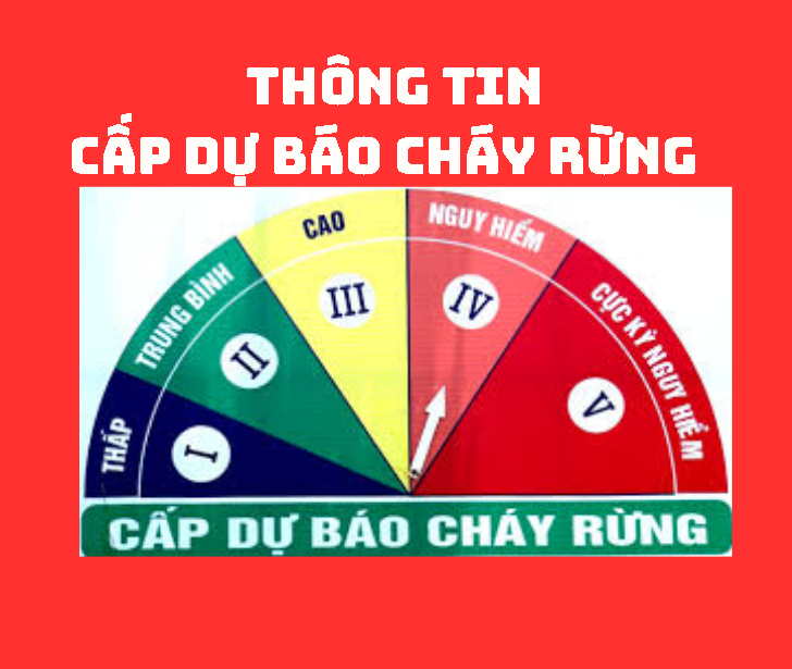 THÔNG TIN CẤP DỰ BÁO CHÁY RỪNG
