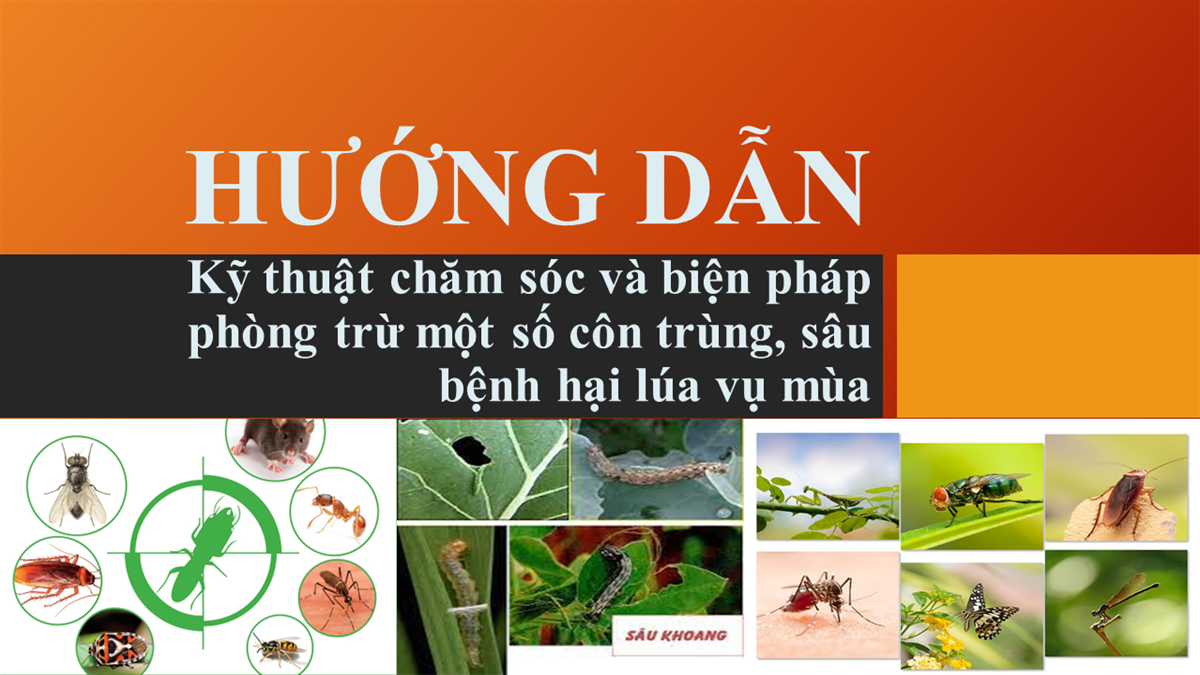 UBND xã Tiên Điền triển khai các biện pháp phòng trừ sâu bệnh cho cây trồng.