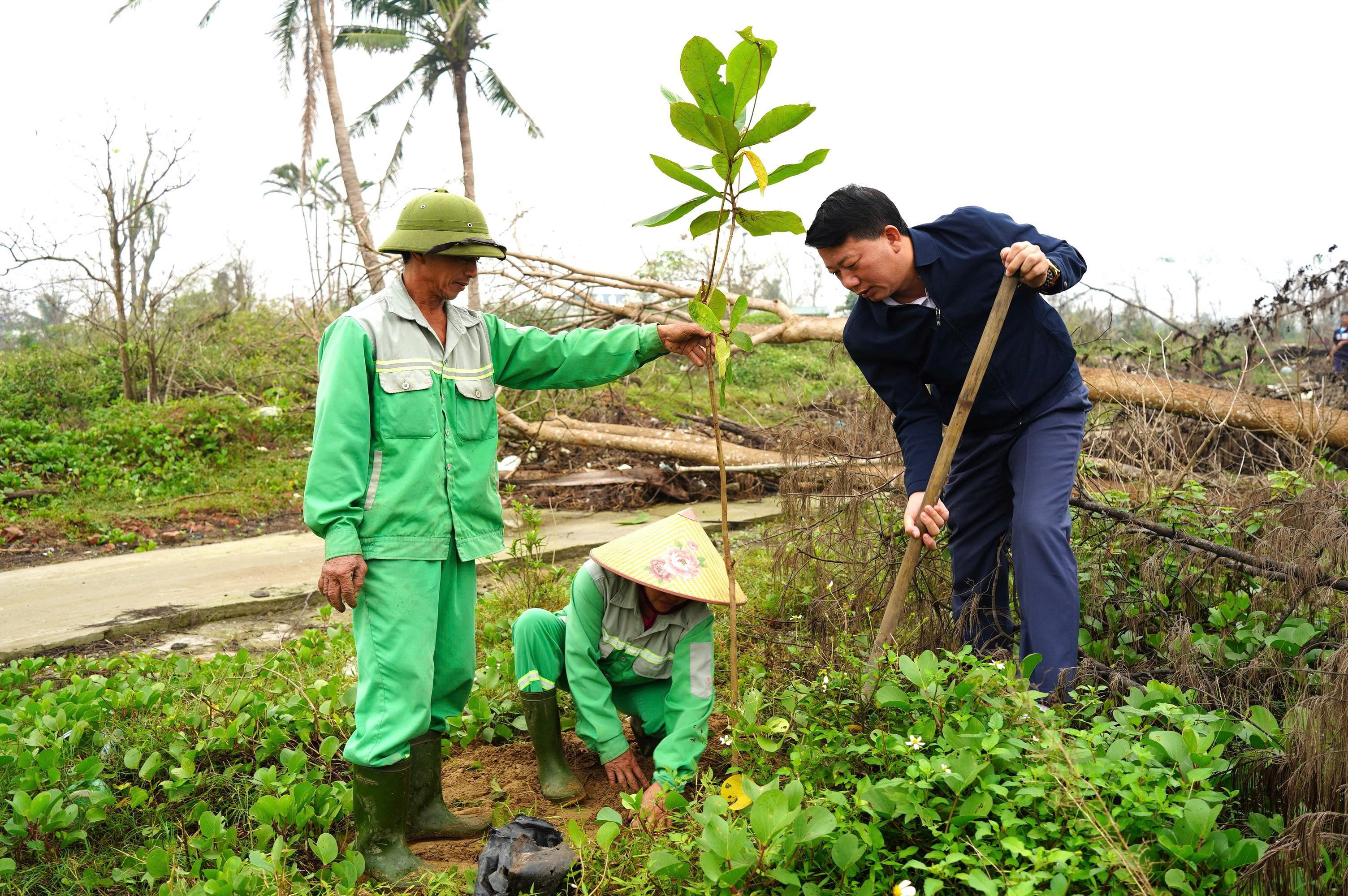 Trồng mới cây cảnh tại khu du lịch biển Xuân Thành