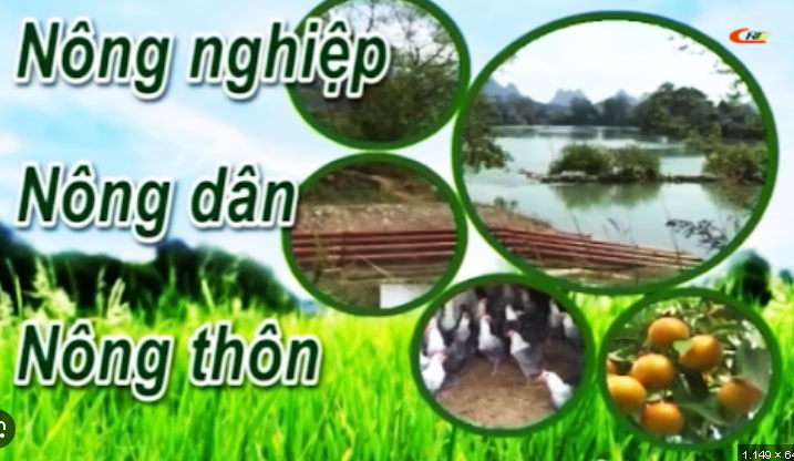 KẾ HOẠCH Hỗ trợ phát triển sản xuất vụ Xuân năm 2026