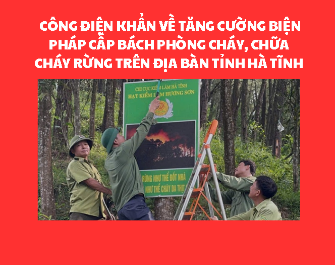 Công điện khẩn về tăng cường biện pháp cấp bách phòng cháy, chữa cháy rừng trên địa bàn tỉnh Hà Tĩnh