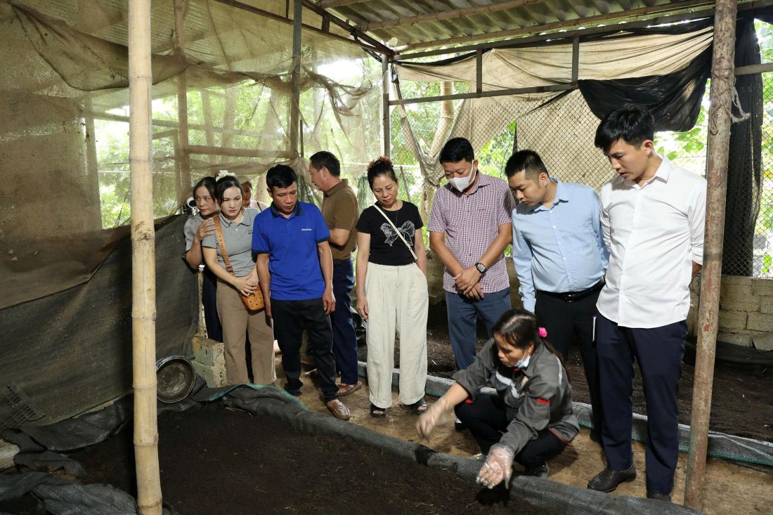 Tận dụng rác hữu cơ làm nguyên liệu sản xuất, tạo ra sản phẩm và giá trị kinh tế.