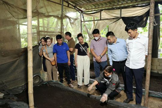 Tận dụng rác hữu cơ làm nguyên liệu sản xuất, tạo ra sản phẩm và giá trị kinh tế.