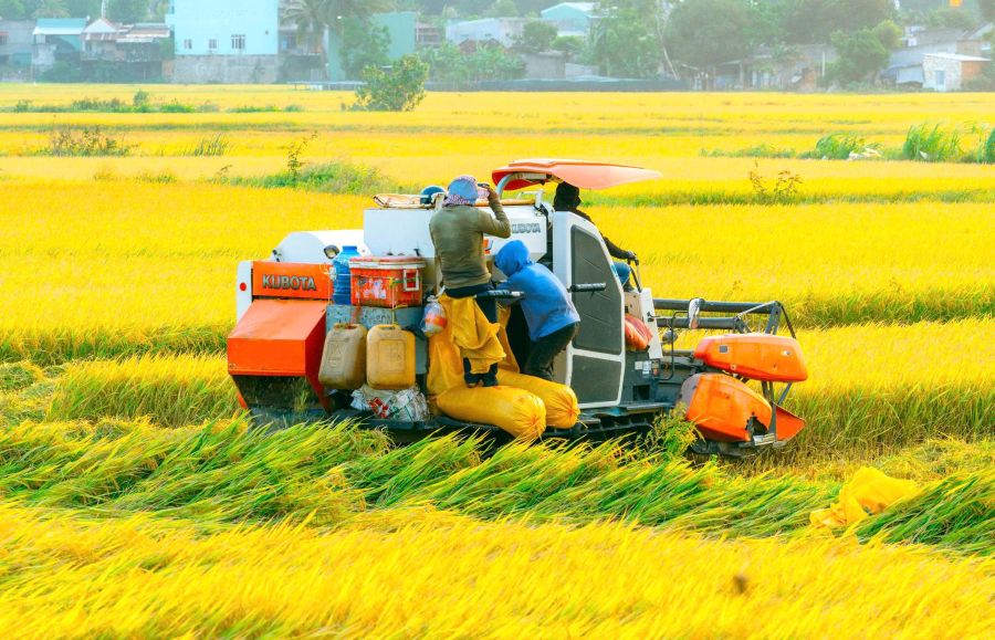 Các chủ máy gặt ký cam kết, thống nhất giá dịch vụ thu hoạch lúa vụ Xuân 2026