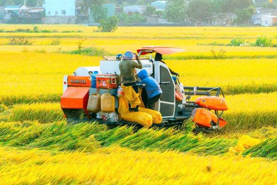 Các chủ máy gặt ký cam kết, thống nhất giá dịch vụ thu hoạch lúa vụ Xuân 2026 