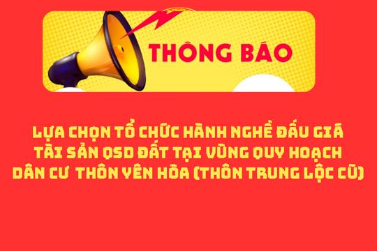 Thông báo Lựa chọn tổ chức hành nghề đấu giá tài sản QSD đất tại vùng quy hoạch dân cư thôn Yên Hòa (thôn Trung Lộc cũ)