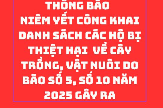 Thông báo  niêm yết công khai danh sách các hộ bị thiệt hại  về cây trồng, vật nuôi do bão số 5, số 10 năm 2025 gây ra