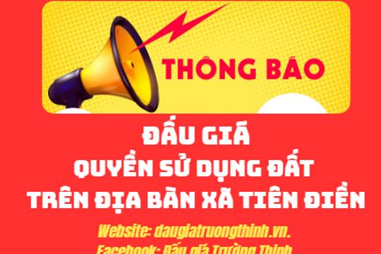 Thông báo  về việc đấu giá quyền sử dụng đất trên địa bàn xã Tiên Điền..