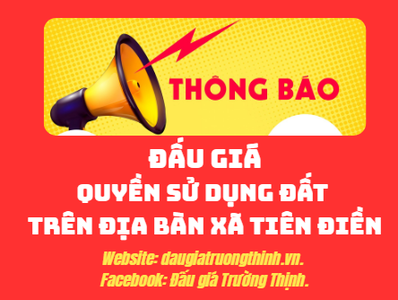 Thông báo  về việc đấu giá quyền sử dụng đất trên địa bàn xã Tiên Điền..