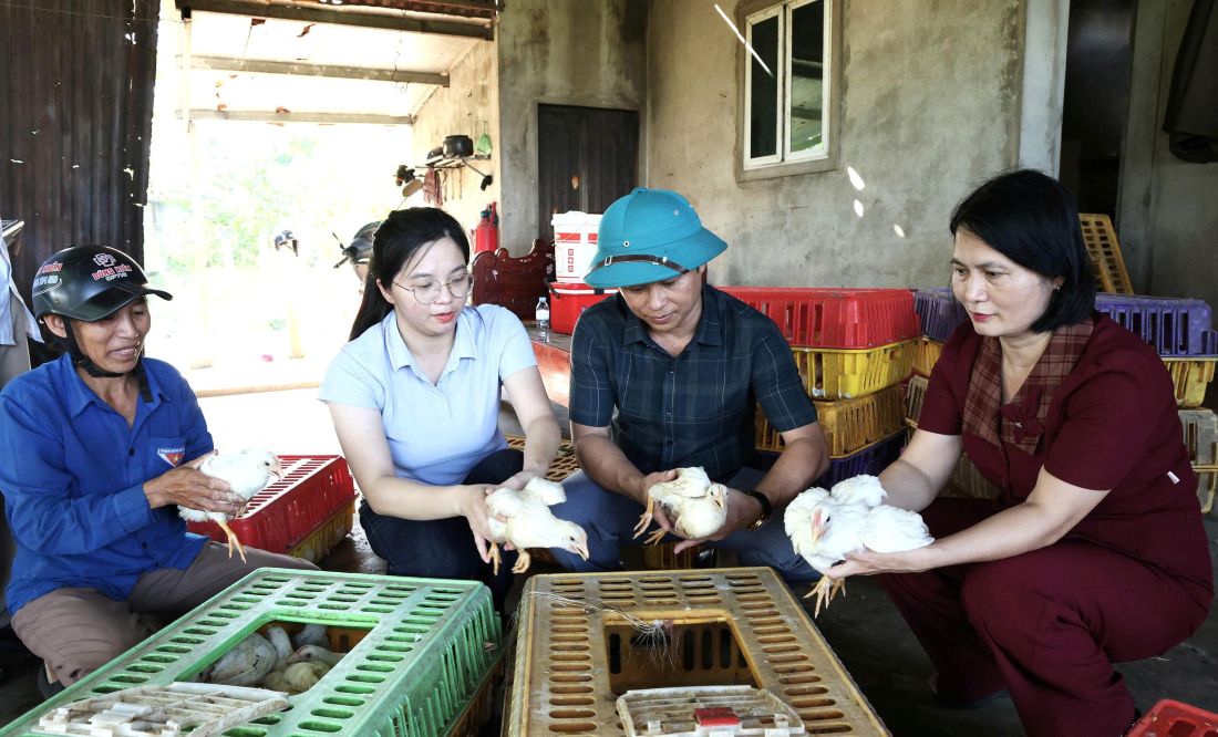 Tiên Điền bàn giao gần 800 con gà giống hỗ trợ 23 hộ gia đình khó khăn
