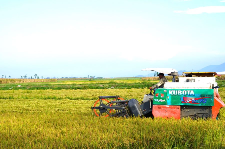 Nông dân Tiên Điền thu hoạch nhanh vụ lúa xuân