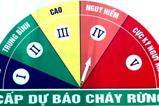 Thông tin cấp dự báo cháy rừng tháng 6