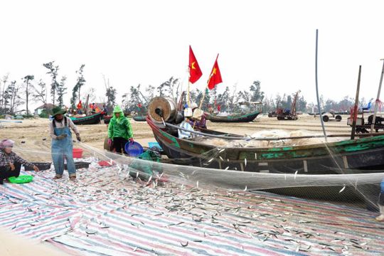 Đảm bảo tàu, thuyền đánh cá phải được viết số đăng ký, đánh dấu tàu cá đúng quy định