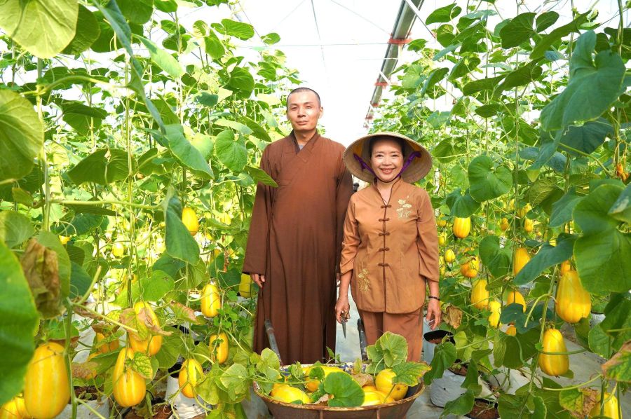 Mô hình trồng dưa lê Hàn Quốc tiêu biểu tại xã Tiên Điền
