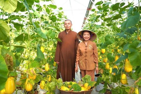 Mô hình trồng dưa lê Hàn Quốc tiêu biểu tại xã Tiên Điền