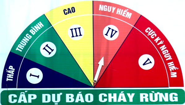 Thông tin cấp dự báo cháy rừng tháng 7.2026