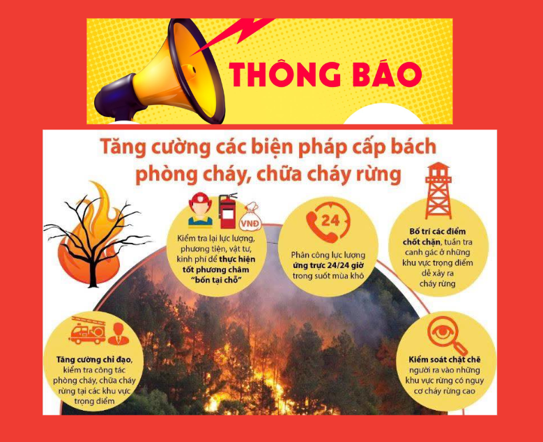 Thông tin cấp dự bao cháy rừng 