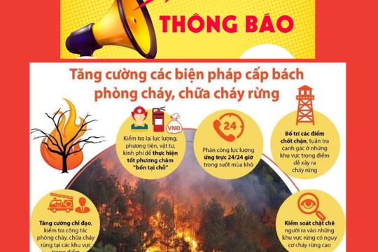 Thông tin cấp dự bao cháy rừng 