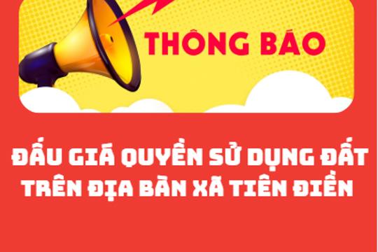 Thông báo đấu giá quyền sử dụng đất trên địa bàn xã Tiên Điền