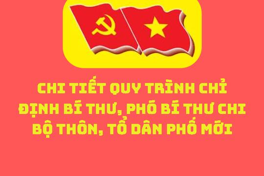  Quy trình chỉ định Bí thư, Phó Bí thư chi bộ thôn, tổ dân phố mới