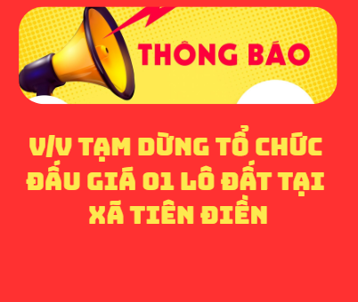 Thông báo tạm dừng đấu giá lô đất.