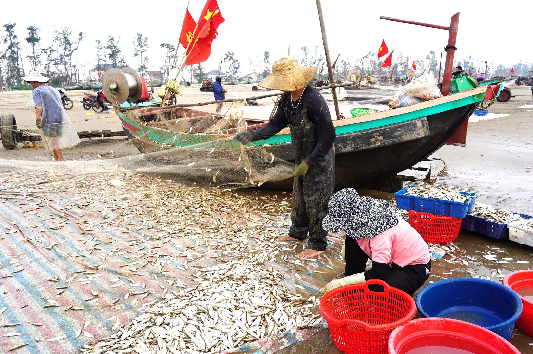 NHỊP SỐNG SÔI ĐỘNG Ở LÀNG CÁ TIÊN ĐIỀN 